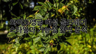 와이드앵글 여성 골프웨어: 스타일과 기능성 완벽 분석